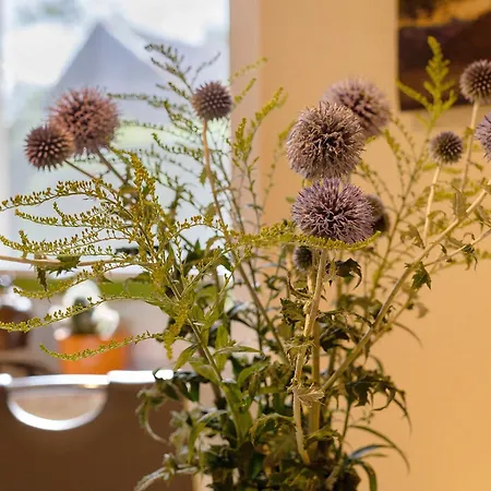 Haus Schoene In Lebbin Holiday home